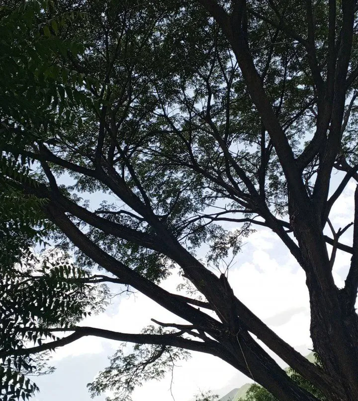 Experiencia SmartShot