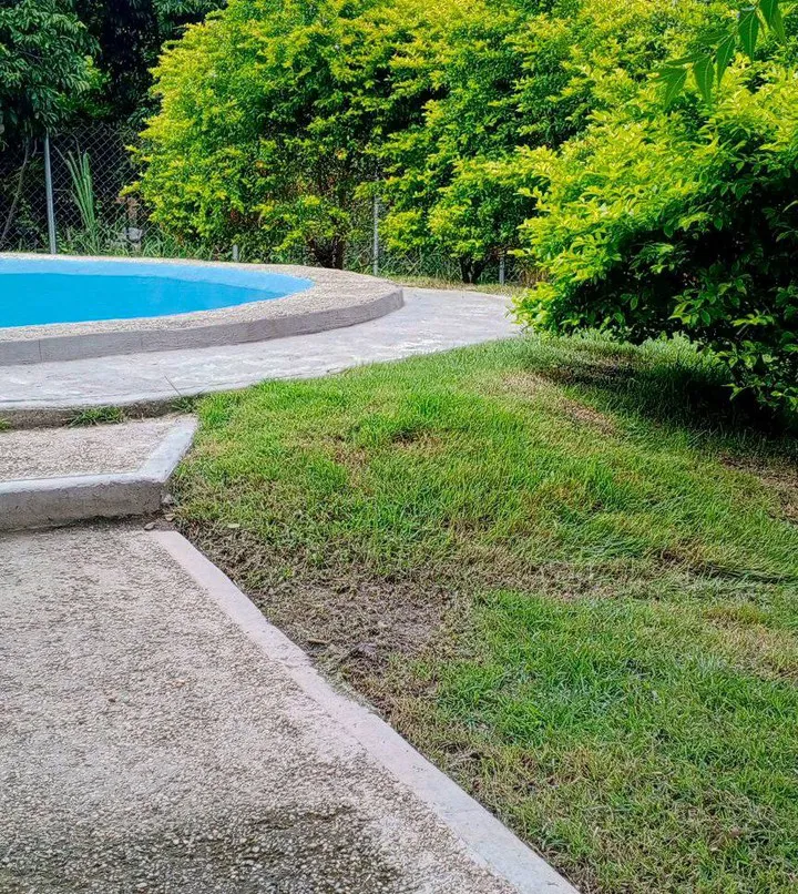 Experiencia SmartShot