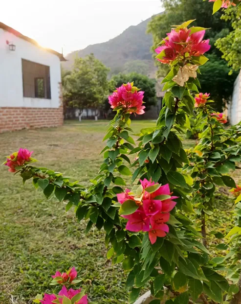 Experiencia SmartShot