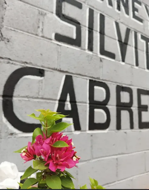 Experiencia SmartShot